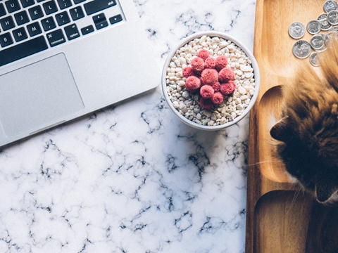 從國(guó)內(nèi)到美國(guó)上市：全面指南助你實(shí)現(xiàn)跨國(guó)夢(mèng)想