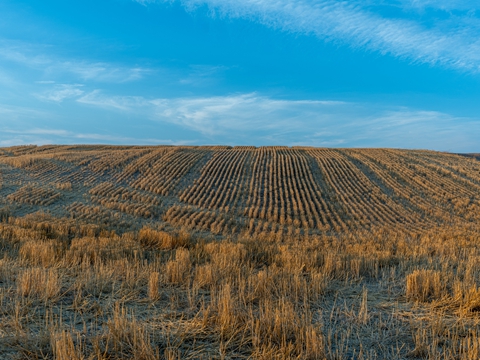 深圳公司注銷條件及費用有哪些？